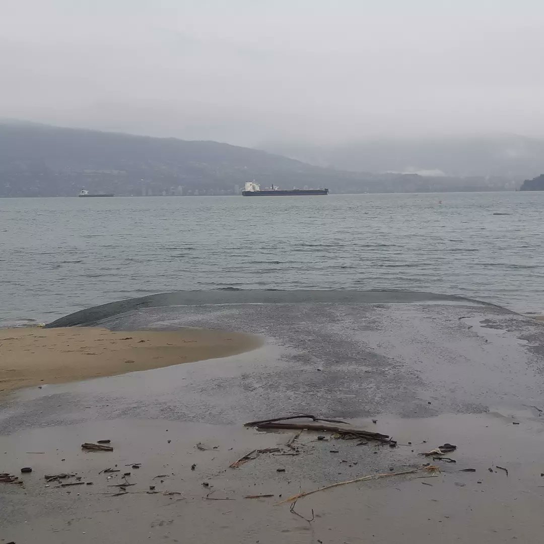 ClubLocarno's tweet photo. King Tide flooded @JerichoSailing a few days back but we're already to launch on New Year's Day, Sunday Jan 1, gather at 10:30 to launch at 11, then the swim for those daring enough, potluck around 1pm! 
#ClubLocarno will bring chips, crackers &amp; cheese. Bring your own plates!
🥳 https://t.co/NXp2FsiIhA