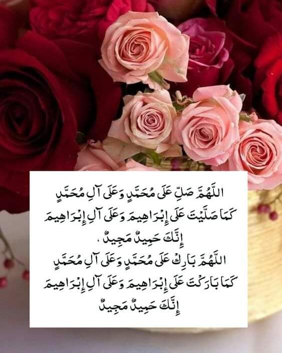 IsmailQaisrani4's tweet photo. صبحِ بخیر https://t.co/XLGKO1t0eZ