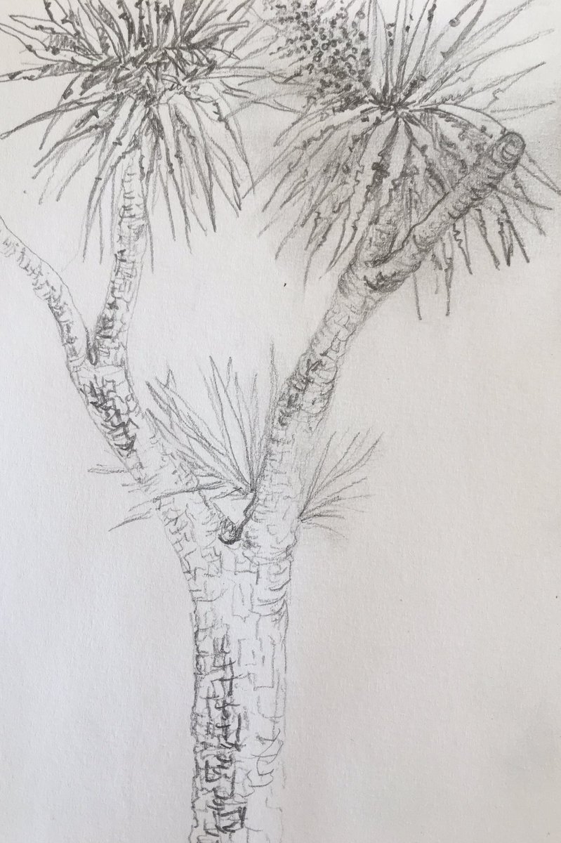 Lee Barry tweet media