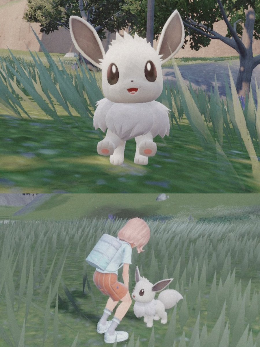 miss mary 🎀🐑✨ tweet media