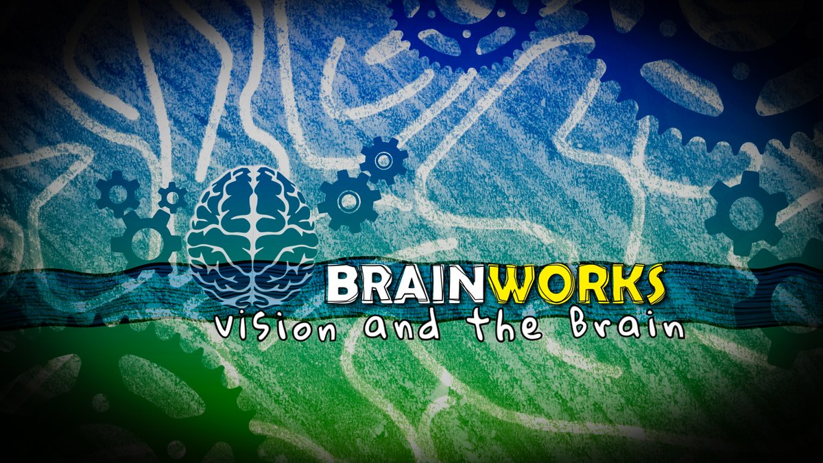 Things are 'looking' up...our newest episode of BrainWorks "Vision and the Brain" is online. Watch now and 'see' if you like it. Sponsored by <a href="/dana_fdn/">Dana Foundation🧠</a> and <a href="/doituw/">DO-IT</a>.
youtu.be/UdgpqkhaKBI