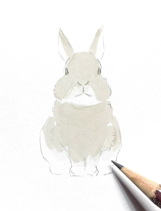 来る年。 