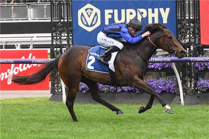 NEF_stud's tweet image. #Asfoora made #2022 a year to remember ⭐️ @HDwyerRacing