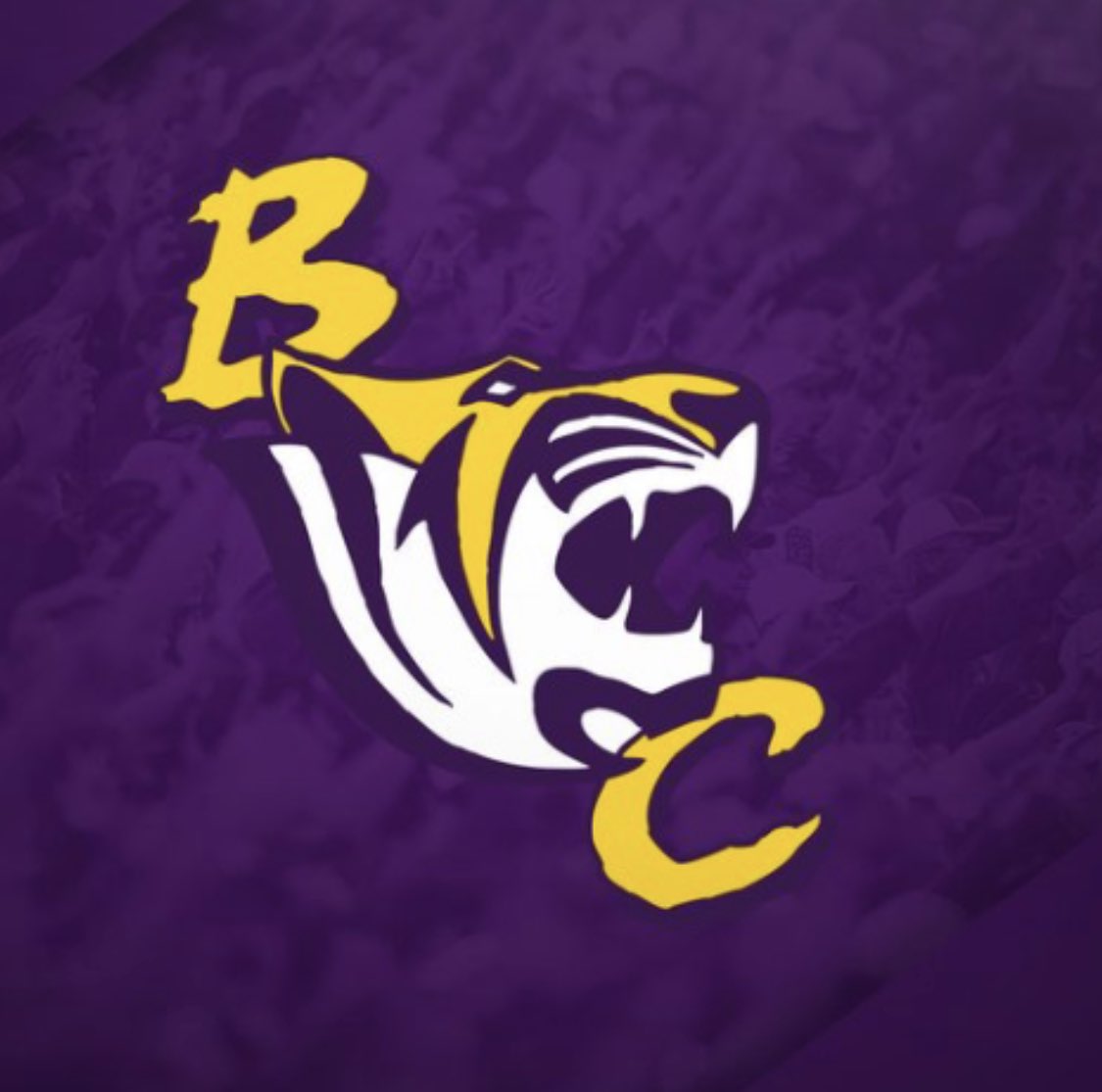 Northeast Georgia Recruits tweet media