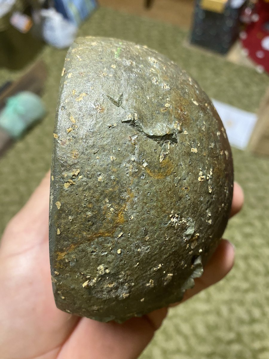 coyle_tim's tweet photo. Any geology expert know what kind of rock this is? it was from QLD, has an inner circle then small rings like tree growth rings but yellow fleck is all the way through, very round as a stone before it was cut. Retweet’s appreciated https://t.co/IqrGf8tKVc