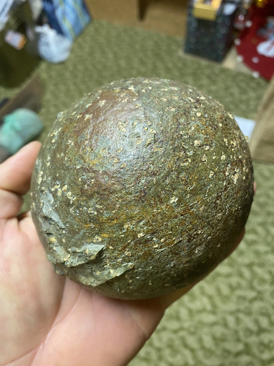 Any geology expert know what kind of rock this is? it was from QLD, has an inner circle then small rings like tree growth rings but yellow fleck is all the way through, very round as a stone before it was cut. Retweet’s appreciated