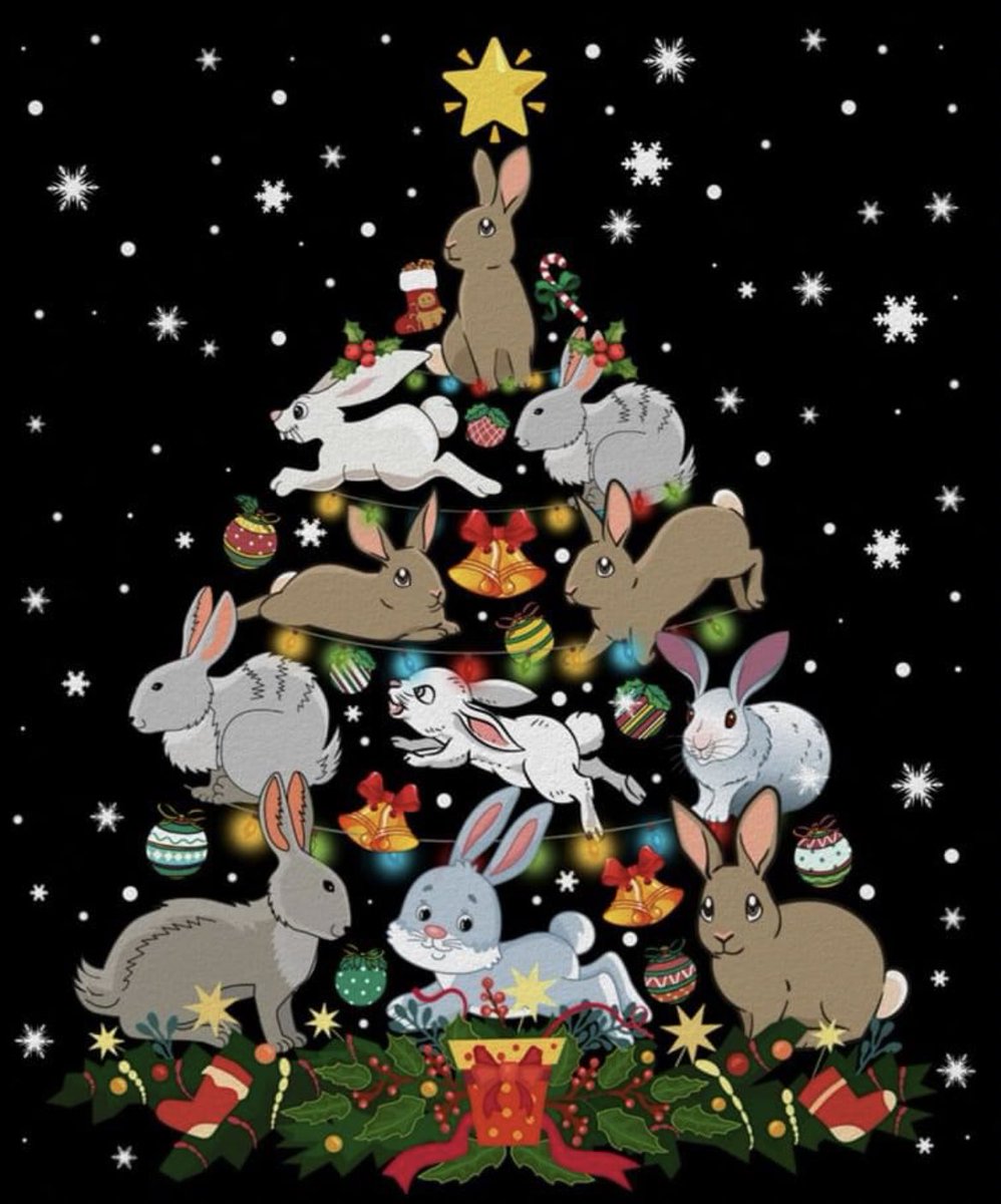 Magic the Bunny tweet media