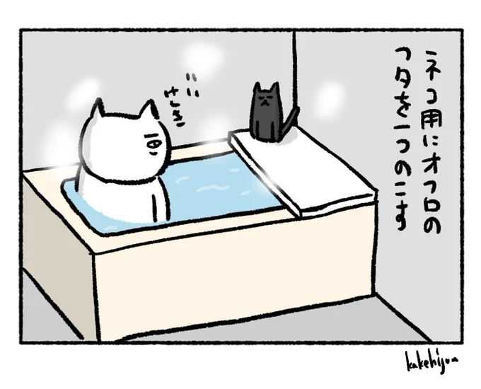 猫がいる家のお風呂の入り方 