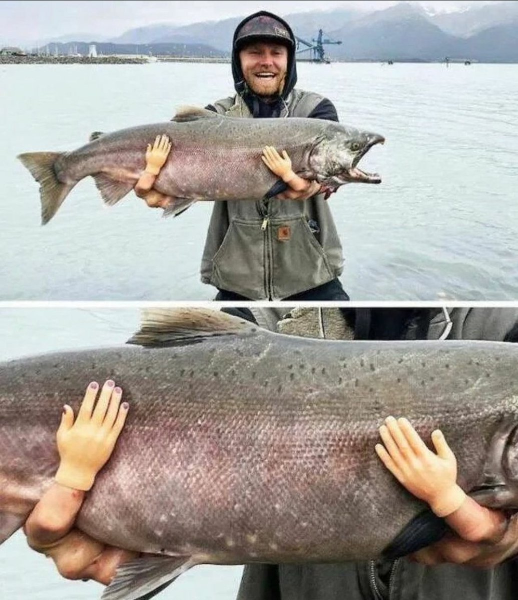 anchoragepress's tweet image. 