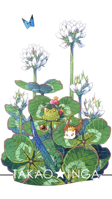 「コケダマちゃん」 illustration images(Latest))