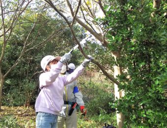 OsakaVolunteer's tweet photo. \森づくり/森を育てるボランティア🌳
多様な生きものがすむ自然豊かな共生の森を目指します!
日時:2023/1/17(火),24(火) 9:30-15:30
場所:堺第7-3区 共生の森エリア(最寄:南海本線「石津川」)
募集先:共生の森
詳細
☞ https://t.co/N4d6wCibNN
#K296 #森づくり #森林 #自然 #環境 https://t.co/1QBj5OHPCB