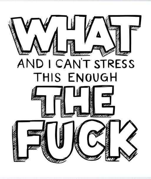 jsp🏳️‍🌈 tweet media