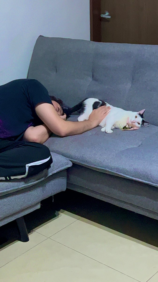 cindyrockss's tweet image. Es el cumpleaños de mi compañero de vida💖 no te imaginas lo hermoso que es estar a tu lado y compartir tantos momentos contigo✨ ya tres años celebrando contigo y los que faltan❣️eres una persona bien maravillosa @Zilverk te amo💗gracias por tanto