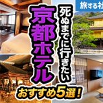 もーりー|旅する社長YouTuber✈️のツイート画像