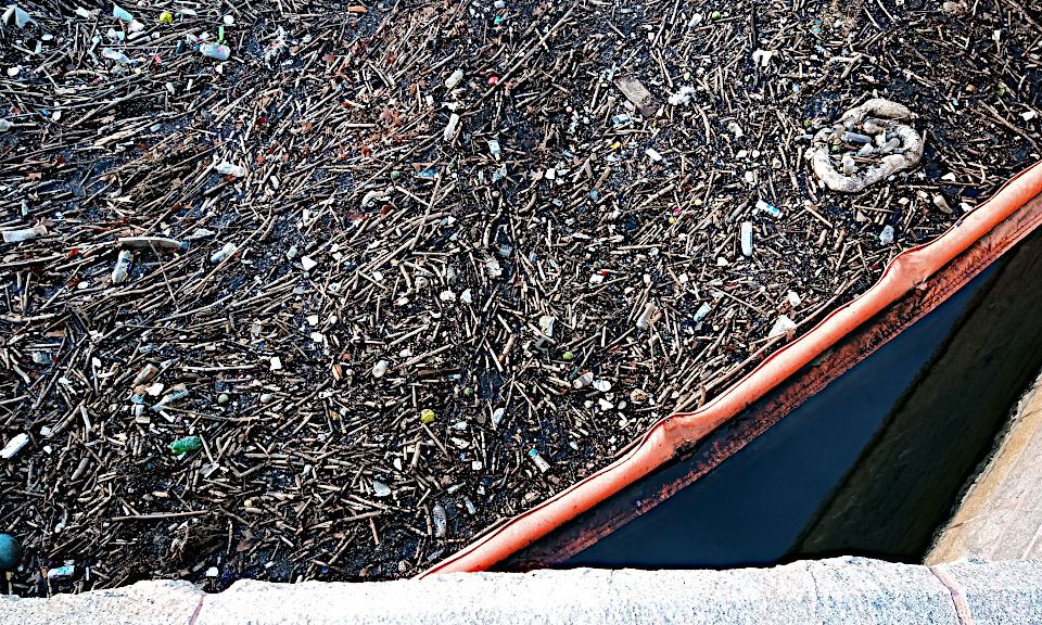 Massachusetts Sierra Club tweet media