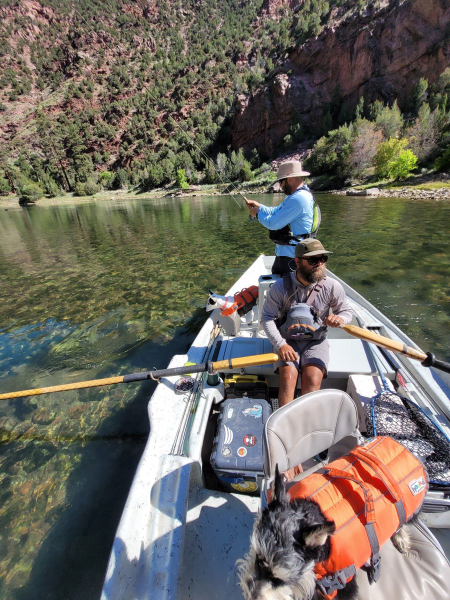 anglerretreat22's tweet photo. Green River - Dutch John, Utah. Best dry fly fishery in the west, if not the US. #fishinglife #flyfishing #simmsgear #fishing #greenriver https://t.co/WUYyKYONIl