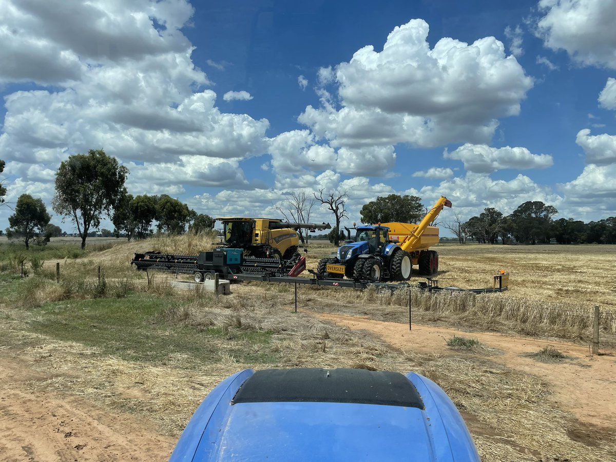 Andrew Godde tweet media