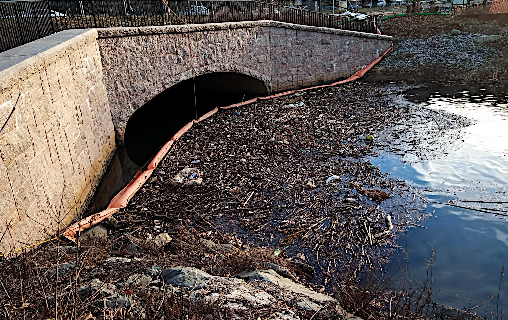 Massachusetts Sierra Club tweet media