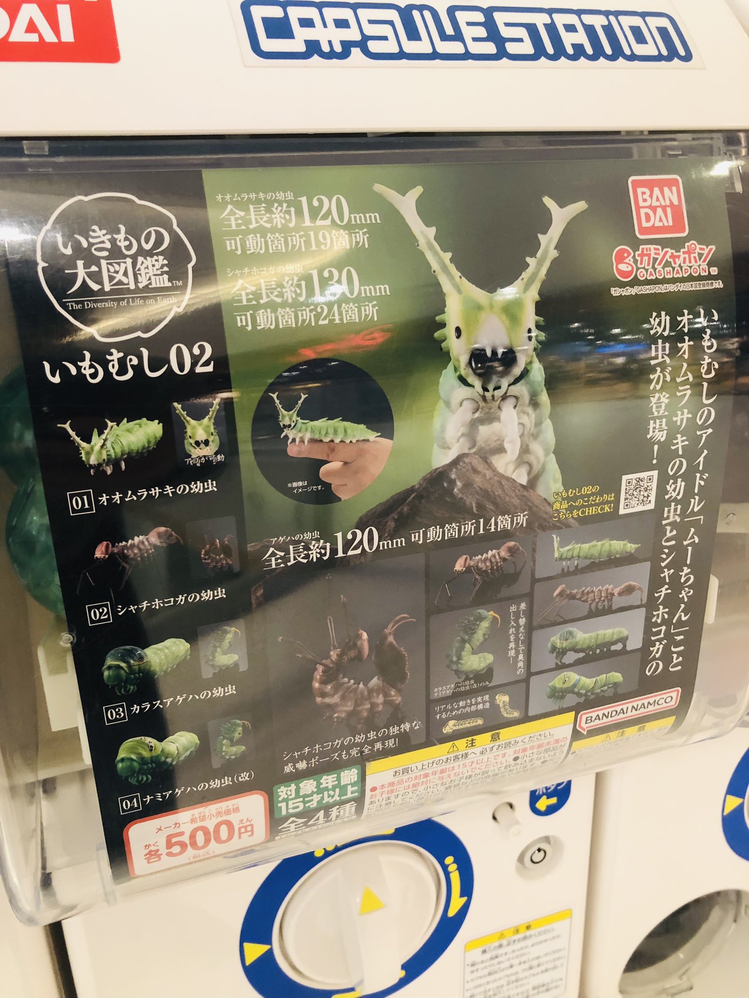 スプリングフェア ポケモンセンター トウキョーベイ トランプ レント様