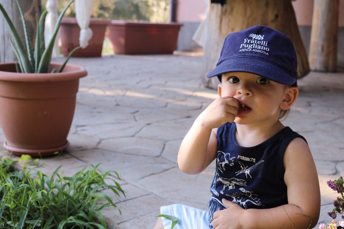 CicciosOlives's tweet photo. As we look forward to 2023, we remember what 2022 gave us. We finally spent time with our extended family in Calabria after a long few years, soaking up the warmth of love &amp; Italy's South.

#smallproducer #farmtotable #bestolivesoils #italy #olivetree #familybusiness #newyear https://t.co/JzHYArY8fC
