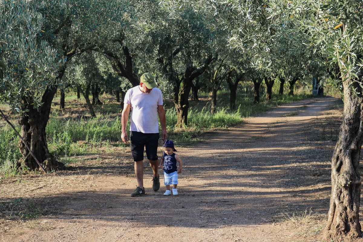 CicciosOlives's tweet photo. As we look forward to 2023, we remember what 2022 gave us. We finally spent time with our extended family in Calabria after a long few years, soaking up the warmth of love &amp; Italy's South.

#smallproducer #farmtotable #bestolivesoils #italy #olivetree #familybusiness #newyear https://t.co/JzHYArY8fC
