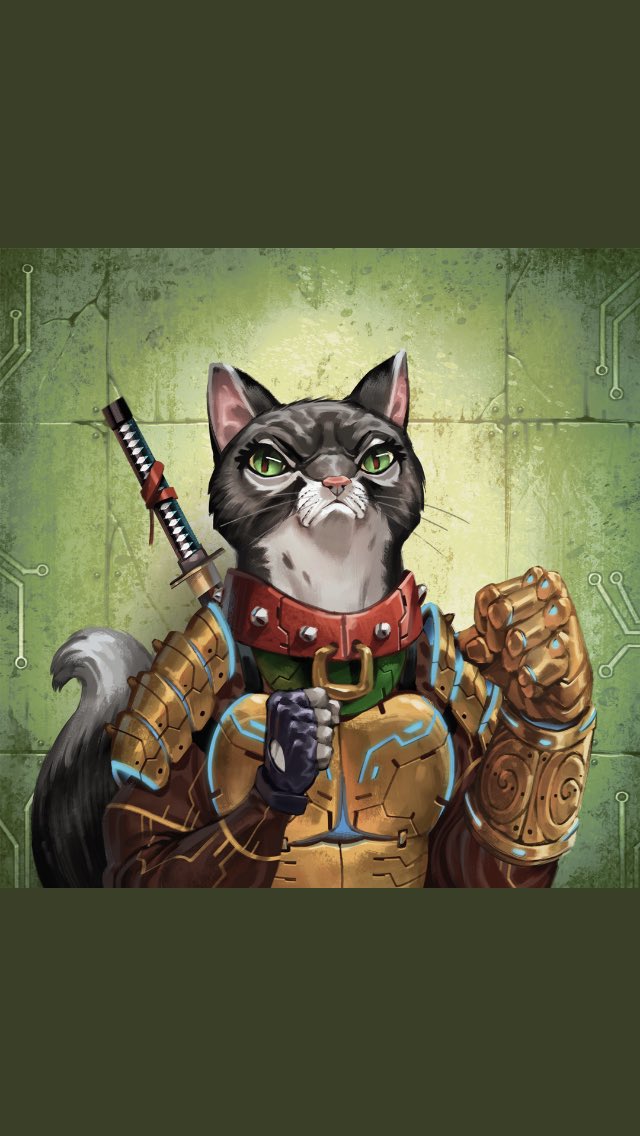 Survivewilds tweet media