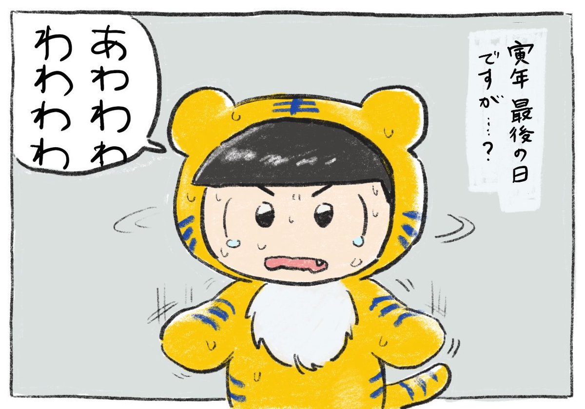 大晦日だね、とらちゃん🐯 