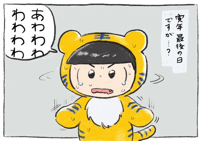 大晦日だね、とらちゃん🐯 