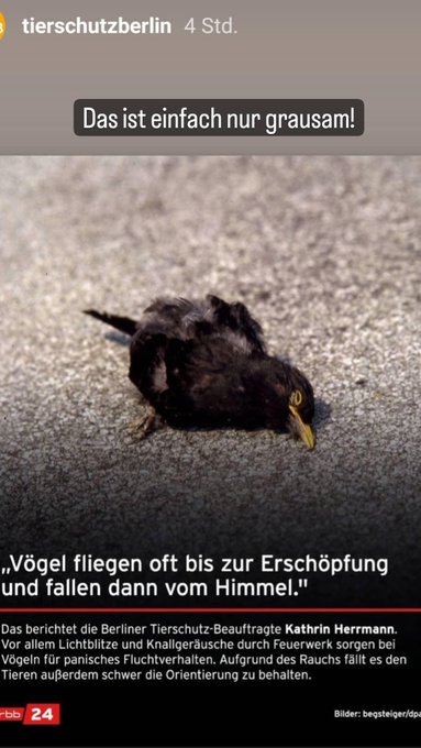 😥 schrecklich https://t.co/mqepSpwN5S