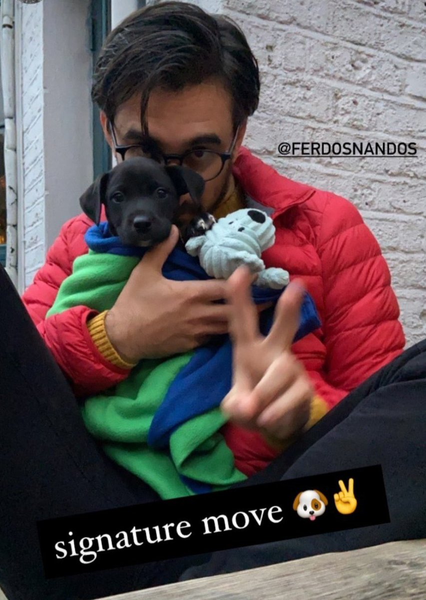 HonestlyWilde's tweet photo. Our Ferdie, which art most handsome,
Hallowed be thy smile,
Thy stories come, on Twt as they do on Insta,
Give us this day, food for our feed,
Forgive us our simping, as we stalk your socials &amp; IMDb,
And share more pup pics please, Gilbert is the best boy.
Amen.

 #FerdieFriday https://t.co/ldHCm1isOE
