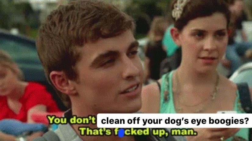 one of ur hoes tweet media