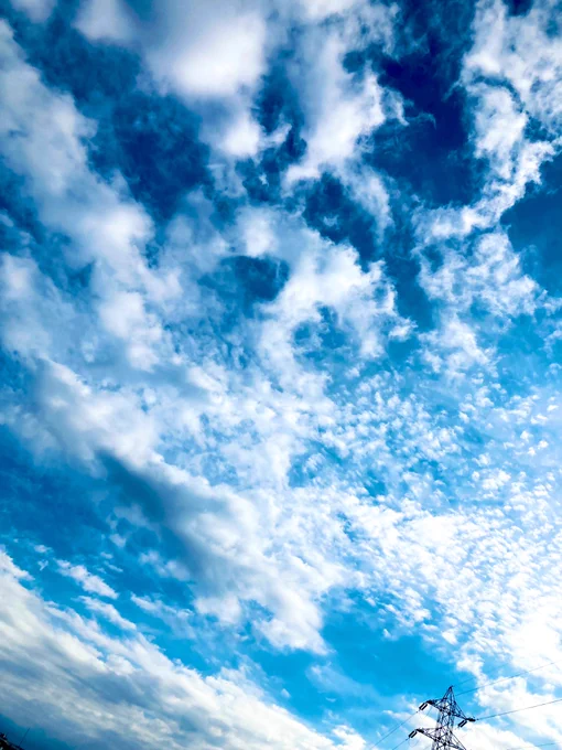 年末から年始にかけ天気が良くてありがたい風はちょっとひんやり 