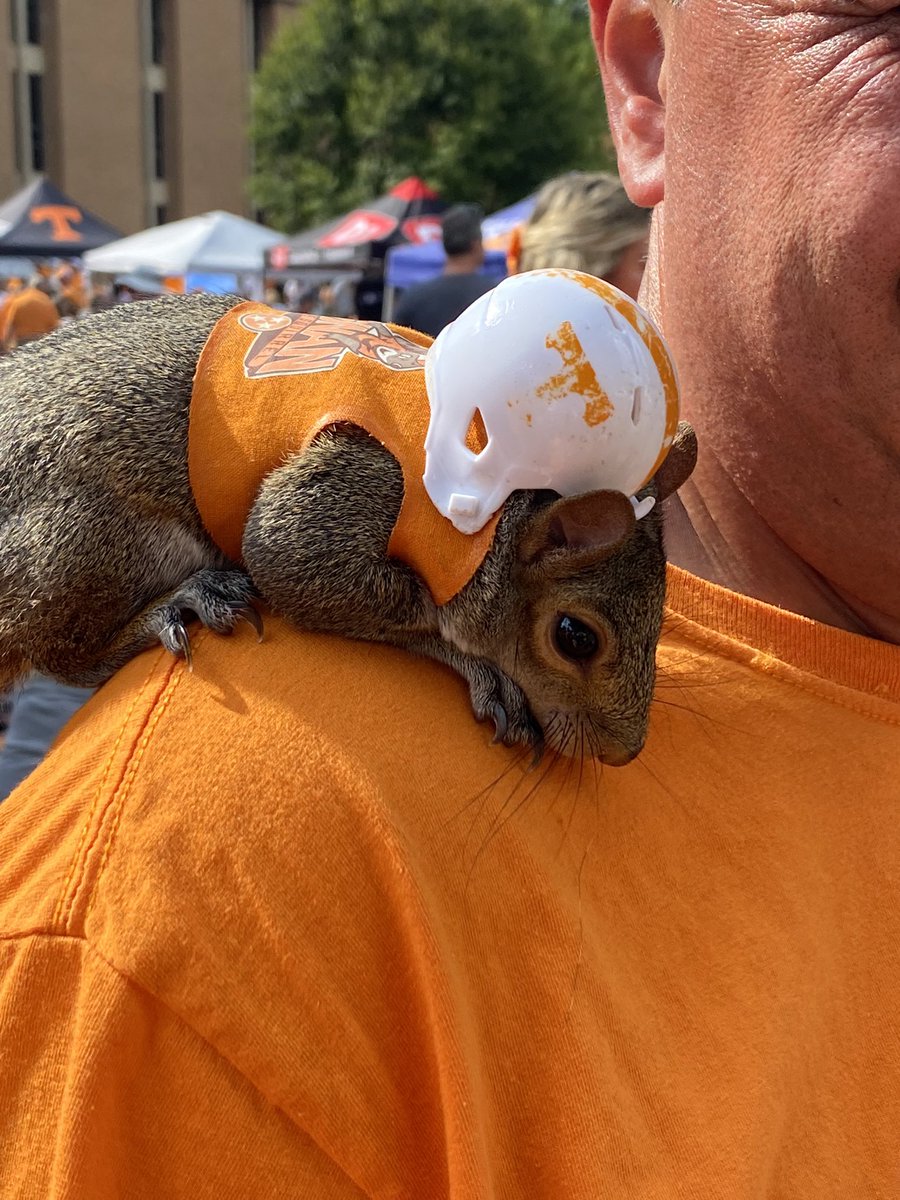 Tennessee touchdown alert