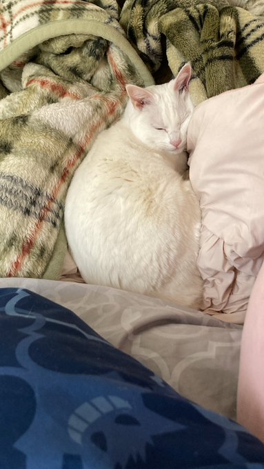 ちおも覚悟したんなら男に二言はないなって言ってる 