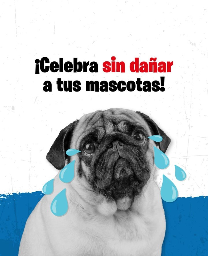 encebolladoCDL's tweet photo. No celebres con pirotecnia... Mejor compra un ENCEBOLLADO CUARTO DE LIBRA MIXTO
#petfriendly
#NoALaPirotecnia 
#Pirotecnia 
#Cuartodelibralovers 
#Guayaquil #Cuenca #Riobamba #Quito https://t.co/R24wqGLsnO
