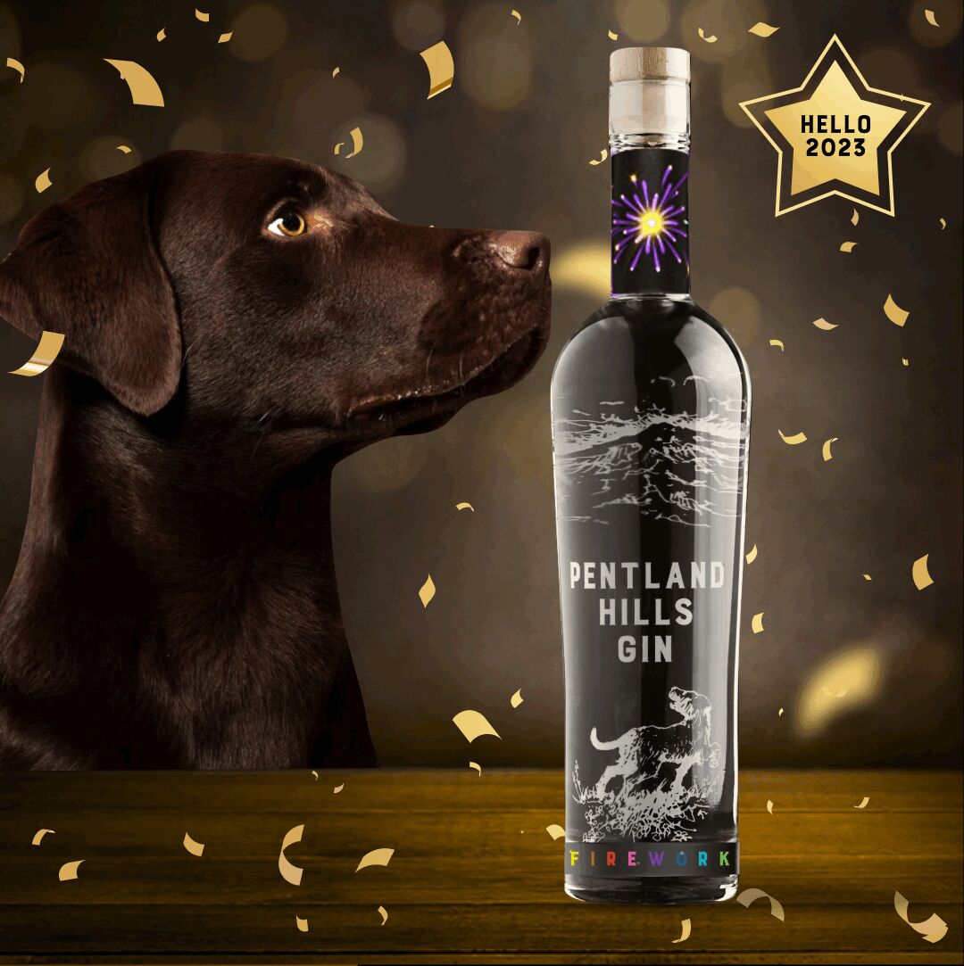 Panza here, as 2022 draws to a close, we want to thank all of our amazing customers for their support throughout the year! We can't wait to serve our delicious gin to you in 2023. Woof woof! 🎇

#pentlandhills #pentlandhillsgin #gin #cocktails #drinks #gintonic #ginandtonic
