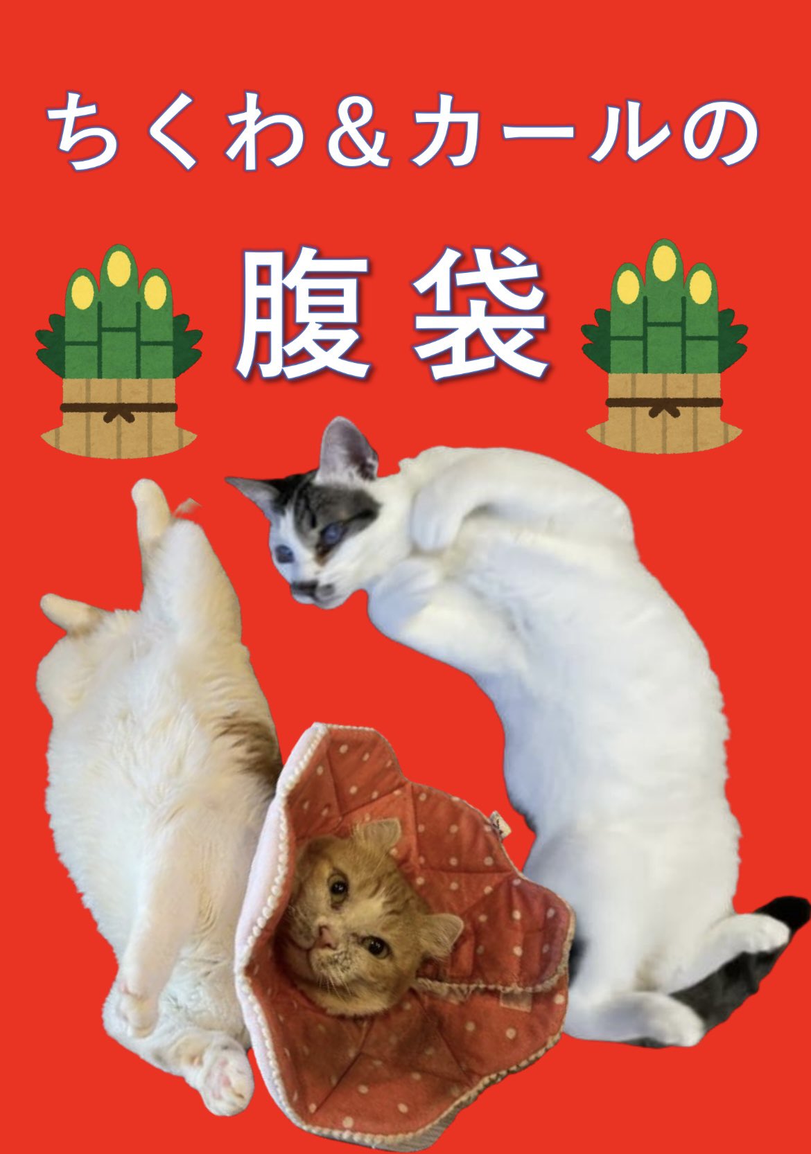 ねこ貴族 By 保護猫カフェ 拝啓ねこ様 Nekokizoku Twitter