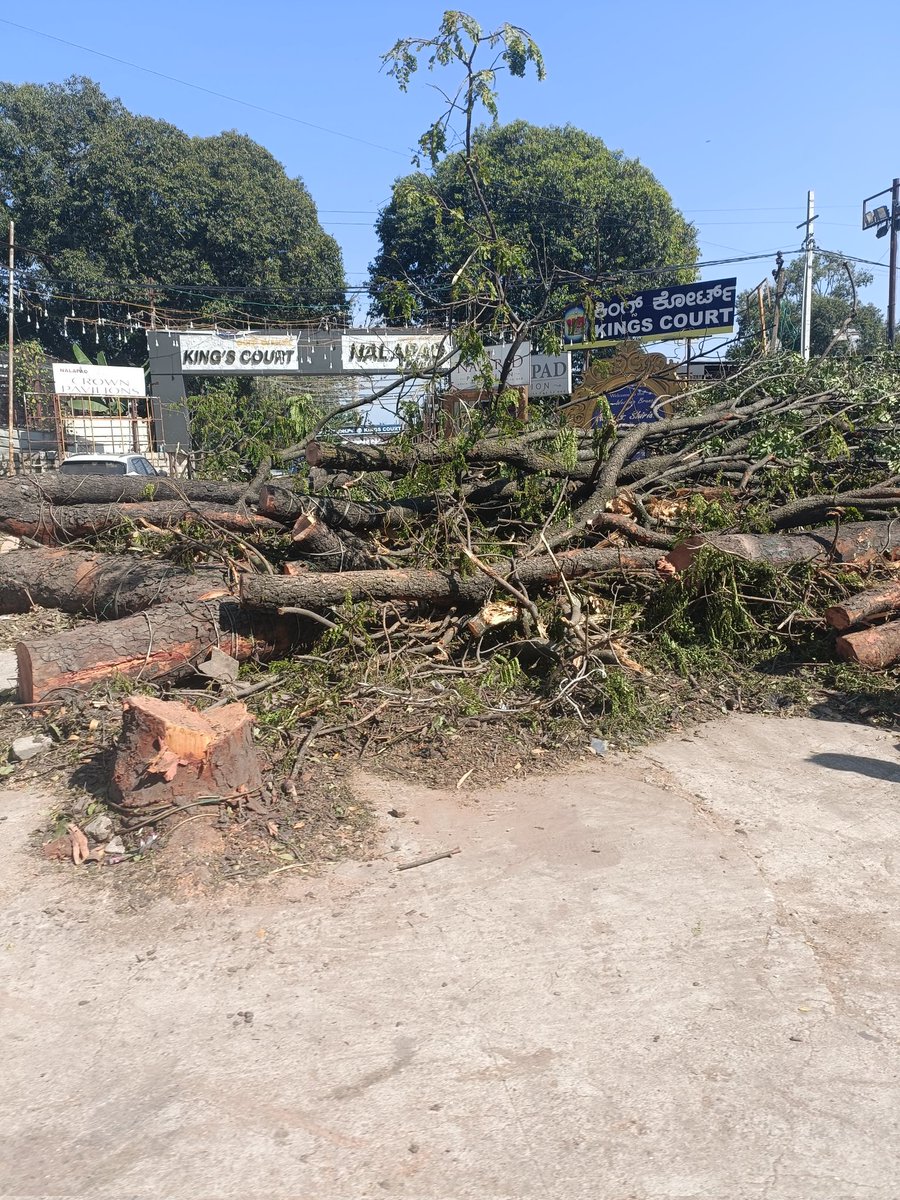 samrudhshegde's tweet photo. Multiple trees have been cut on Bellary Road outside palace grounds overnight (Mekhri Circle) 

Where are the people who protested against the Steel Flyover? Where is the same outrage? 

The trees are decades old and no attempts have been made to transplant them.
#bengaluru https://t.co/o80mPWngXD