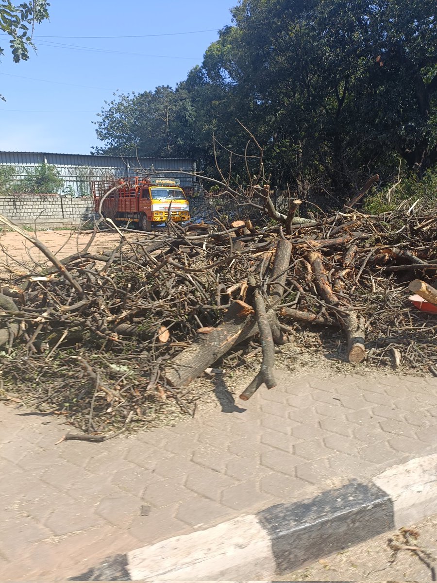 samrudhshegde's tweet photo. Multiple trees have been cut on Bellary Road outside palace grounds overnight (Mekhri Circle) 

Where are the people who protested against the Steel Flyover? Where is the same outrage? 

The trees are decades old and no attempts have been made to transplant them.
#bengaluru https://t.co/o80mPWngXD