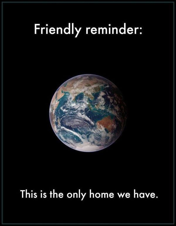 Greenpeace International tweet media