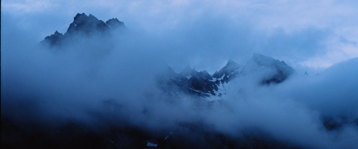 Summer in Alaska on 35mm