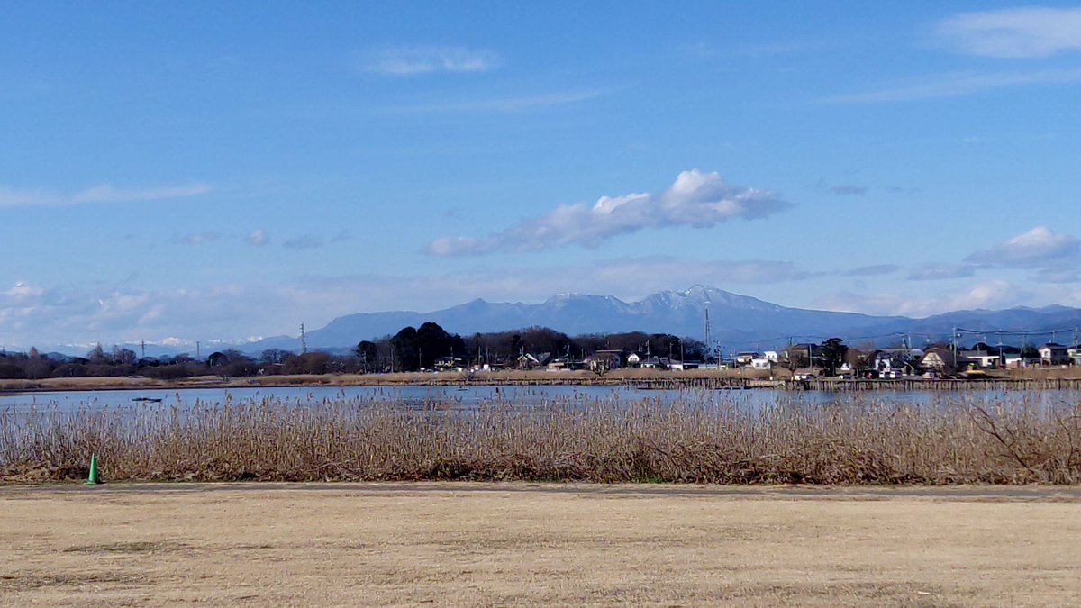 cygnus_wing's tweet photo. 館林市にある多々良沼。利根川の旧河道で、沼畔には利根川により運ばれた砂が堆積した砂丘があり、松林となっている。
この砂丘は砂鉄を多く含み、名前のとおりかつては「たたら製鉄」が行われていたとのこと。 https://t.co/4VaqSnUgkn