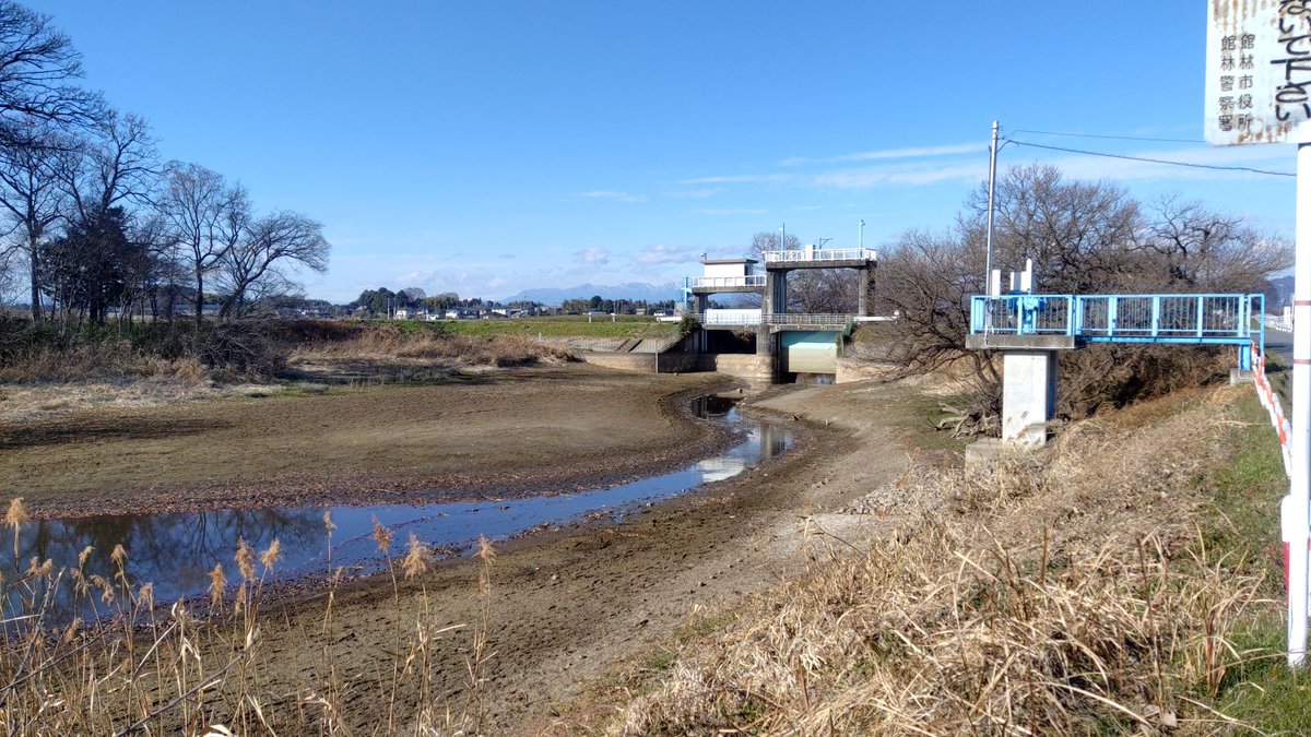 cygnus_wing's tweet photo. 多々良沼から流れ出る多々良川に設けられた木戸堰。
ここから用水路へと取水し館林市北部を灌漑する。
灌漑期は堰を閉鎖し水位が高くなると思われるが、今は水がほとんどなくかつての堰であろう構造物が見てとれる。
灌漑期は上流の多々良沼の水位も高くなるようだ。 https://t.co/c73Ynla5yu