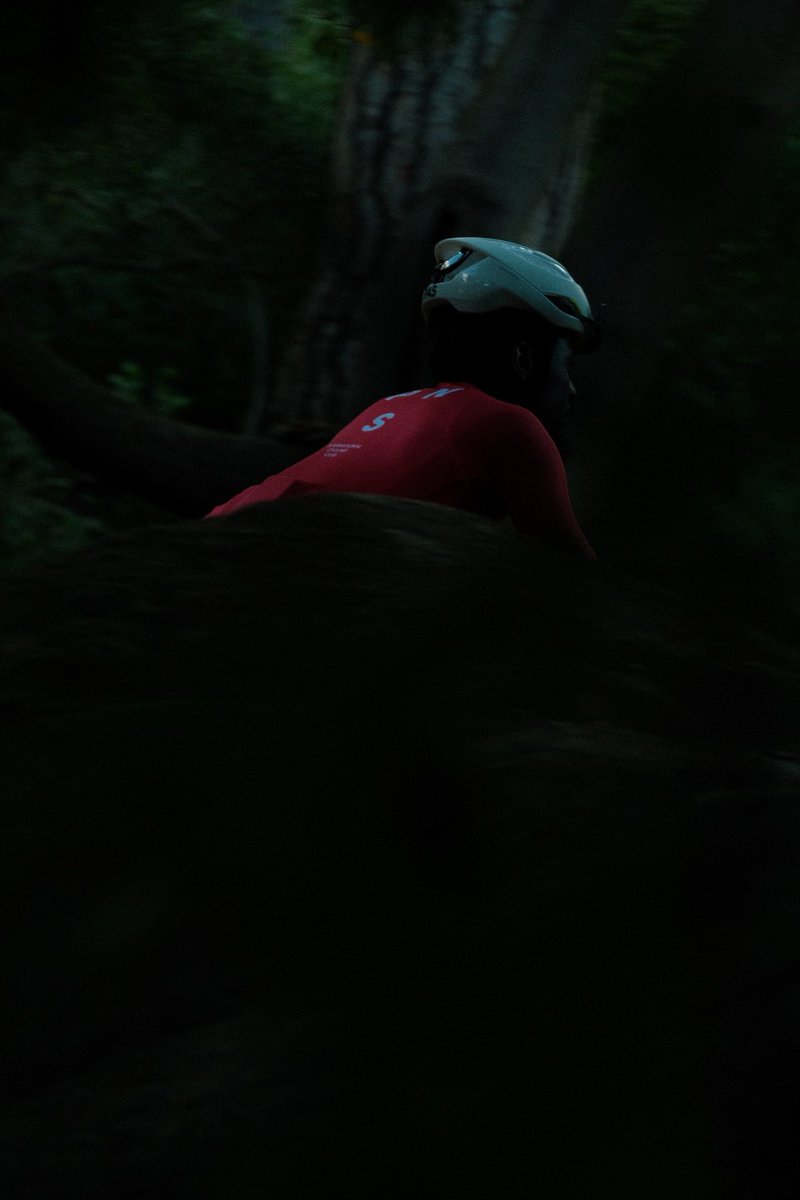 dappled. #pasnormalstudios #internationalcyclingclub #roadtonowhere #destinationeverywhere