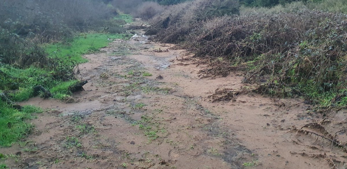 Ó Foghlú tweet media