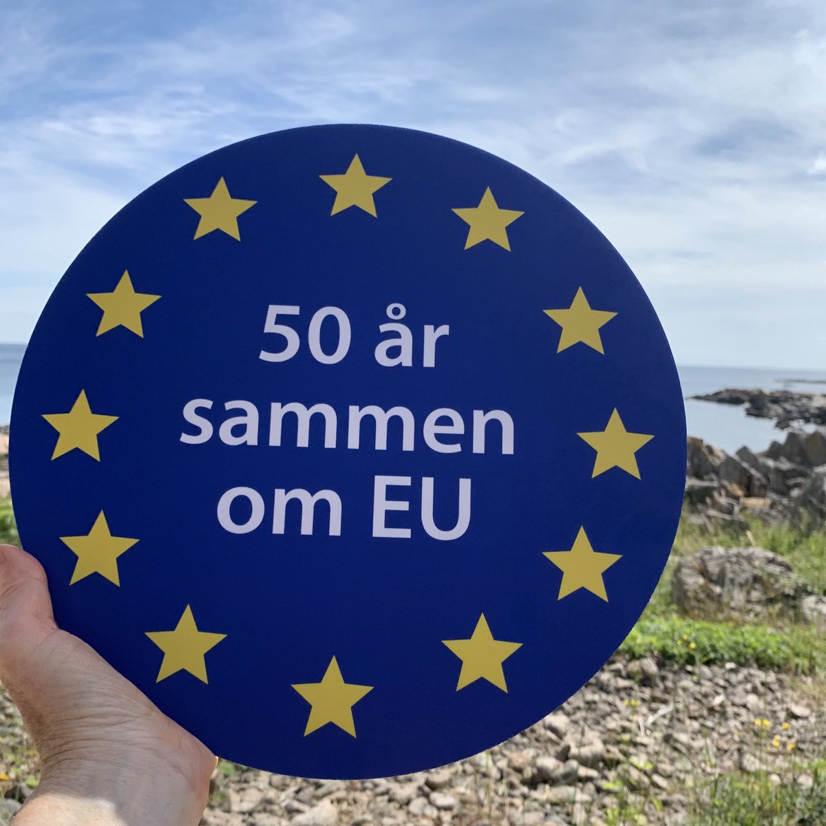 AM Vestergaard tweet media