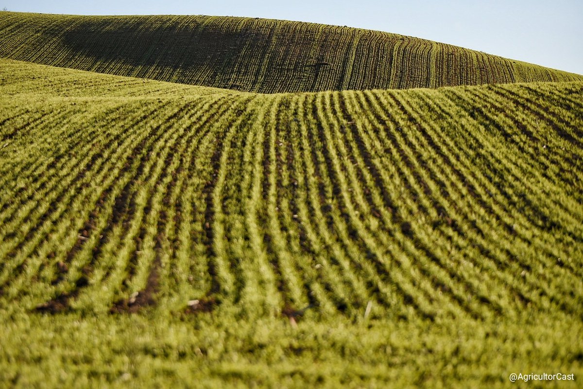 Bueno, como es el último día del año voy a comentar rápidamente algunos temas que me preocupan en un hilo que espero me quede entretenido. Gracias por leer y compartir. 🚜💨💨