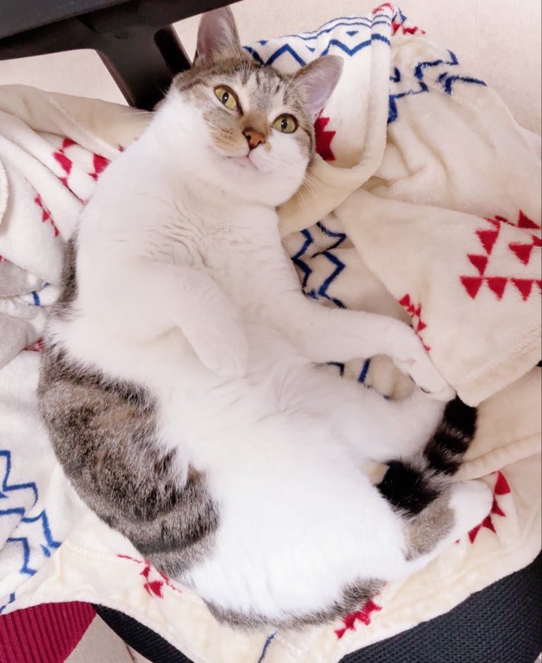 多忙もあってあまりTLに現れることは出来ませんでしたが、裏異世界のオシオキ六道を読んで下さる方のお陰もあって1年間集中して漫画描きをやってこれたんだろうなと実感しております…!

今年一年ありがとうございました!来年も頑張るぞ〜‼️✨良いお年を!おっぱい! 