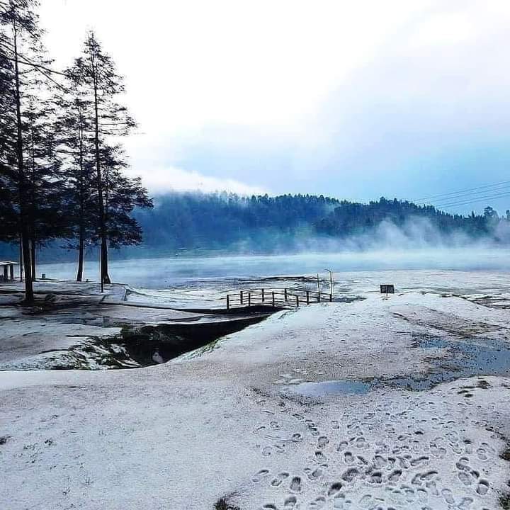 laugondu's tweet photo. No, no es Islandia, es Laguna larga en la zona de los Azufres, Hidalgo Michoacán. 🇲🇽

📸: Iveth García https://t.co/Jy7Be8jDIB