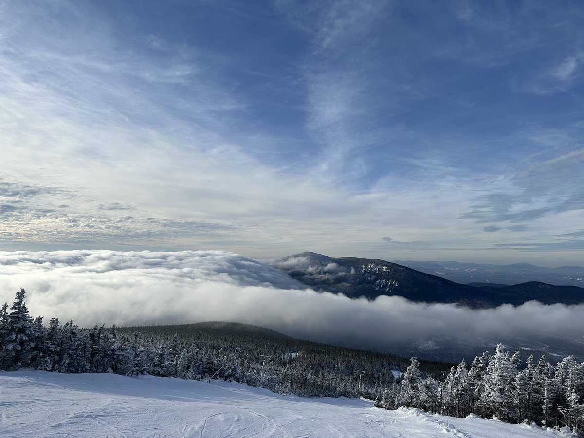 The Party Pit tweet media